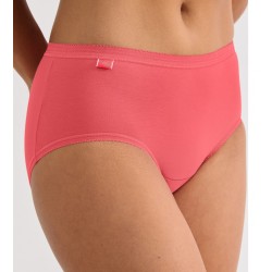 Culotte Basic+ Midi - 4 Couleurs