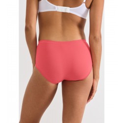 Culotte Basic+ Midi - 4 Couleurs