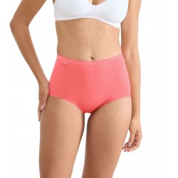 Culotte Basic+ Maxi - 4 Couleurs