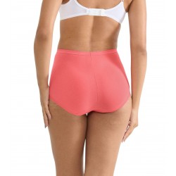 Culotte Basic+ Maxi - 4 Couleurs