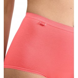 Culotte Basic+ Maxi - 4 Couleurs