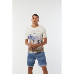 T-shirt Coton