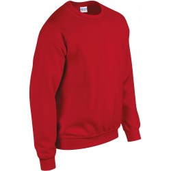 Sweat léger 5 couleurs